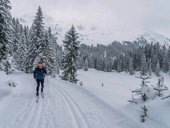 Paradiesische Aussichten