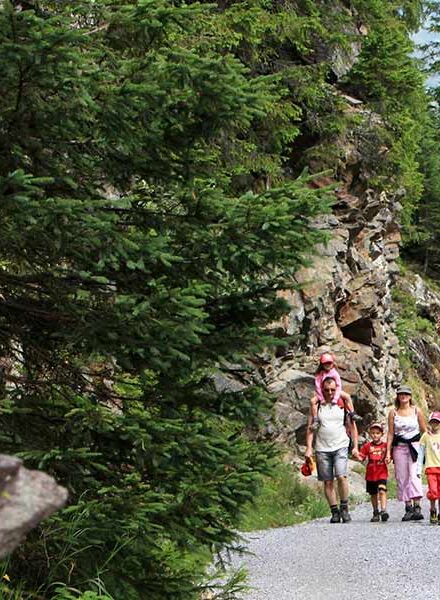 Eine große Familie mit Hund ist im Naturparadies Montafon auf einem Schotterweg spazieren