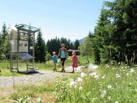 Familienwanderung entlang des Silberpfades