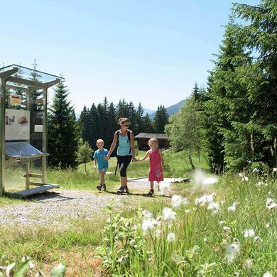 Eine Mutter geht mit ihrer Tochter und ihren Sohn in der grünen Natur wandern