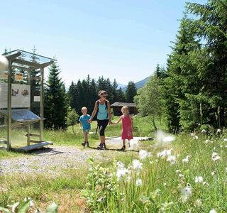 Eine Mutter geht mit ihrer Tochter und ihren Sohn in der grünen Natur wandern