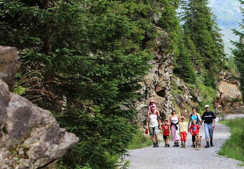 Eine große Familie mit Hund ist im Naturparadies Montafon auf einem Schotterweg spazieren