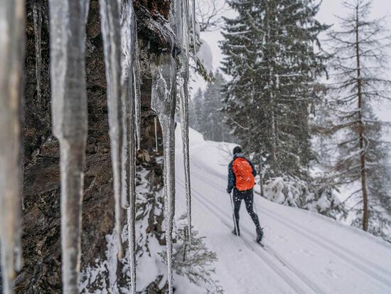 Panoramaloipe in Vorarlberg