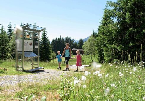 Eine Mutter geht mit ihrer Tochter und ihren Sohn in der grünen Natur wandern