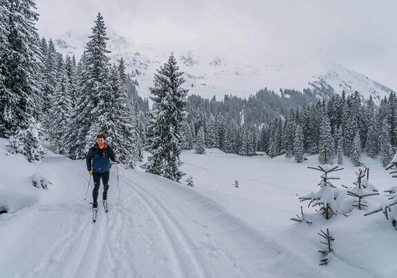 Paradiesische Aussichten