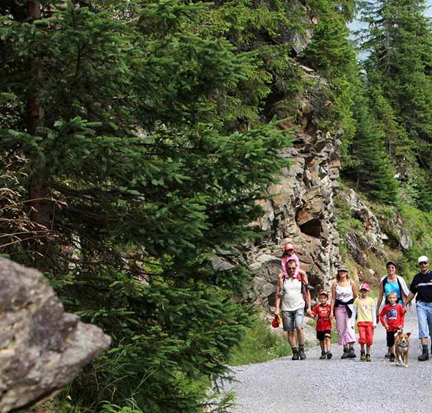 Eine große Familie mit Hund ist im Naturparadies Montafon auf einem Schotterweg spazieren