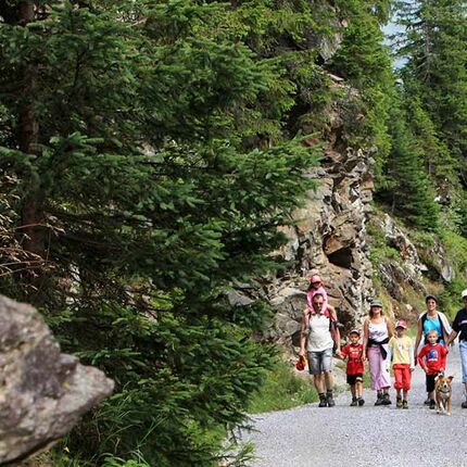 Eine große Familie mit Hund ist im Naturparadies Montafon auf einem Schotterweg spazieren