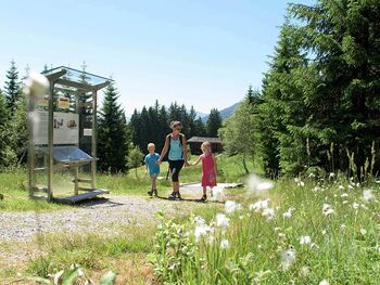 Familienwanderung entlang des Silberpfades