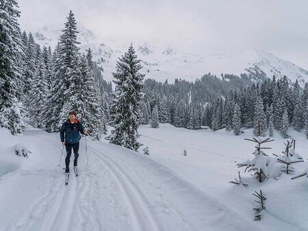 Paradiesische Aussichten