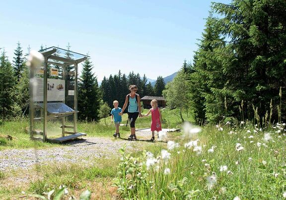 Familienwanderung entlang des Silberpfades