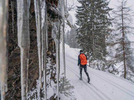 Panoramaloipe in Vorarlberg