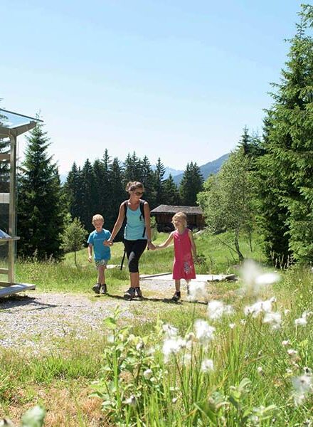 A mother goes hiking with her daughter and son in the green nature