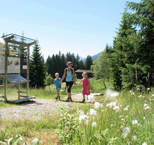 A mother goes hiking with her daughter and son in the green nature