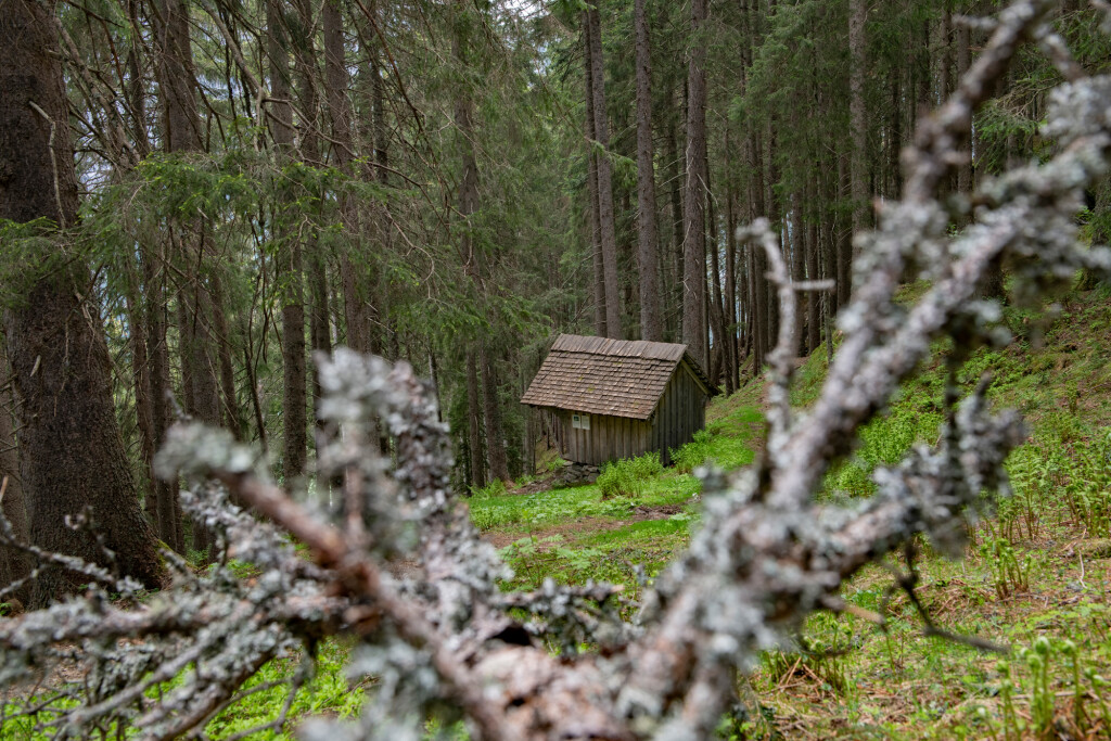 Bruderhüsli unterhalb vom Kristbergsattel im Dalaaser Wald
