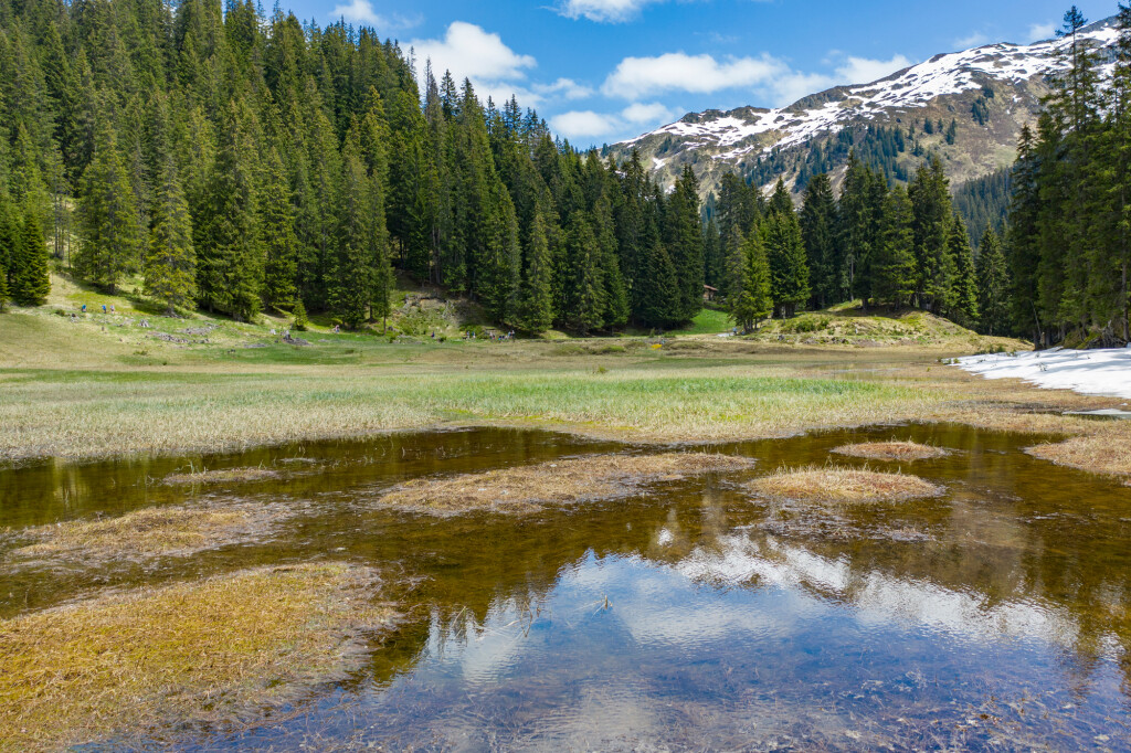 Hochmoor "Wild Ried" am Kristberg vom Silbertal im Montafon