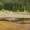 Hochmoor "Wildried" am Kristberg vom Silbertal im Montafon
